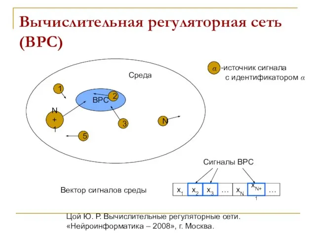 Цой Ю. Р. Вычислительные регуляторные сети. «Нейроинформатика – 2008», г. Москва. Вычислительная