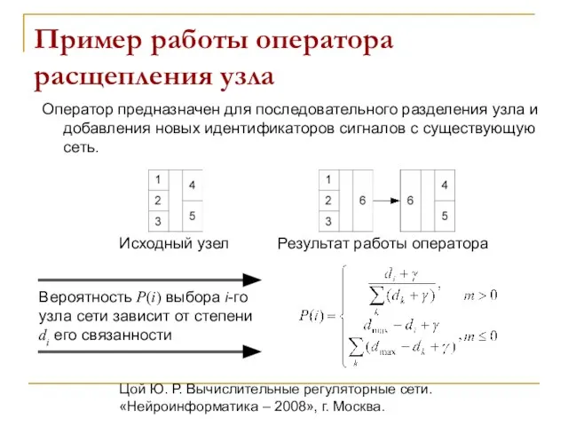 Цой Ю. Р. Вычислительные регуляторные сети. «Нейроинформатика – 2008», г. Москва. Пример