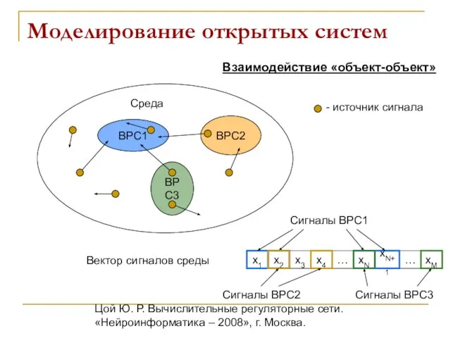 Цой Ю. Р. Вычислительные регуляторные сети. «Нейроинформатика – 2008», г. Москва. ВРС2