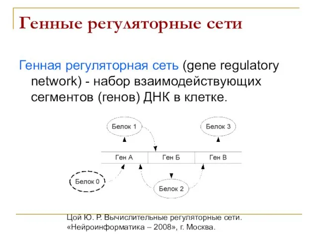 Цой Ю. Р. Вычислительные регуляторные сети. «Нейроинформатика – 2008», г. Москва. Генные