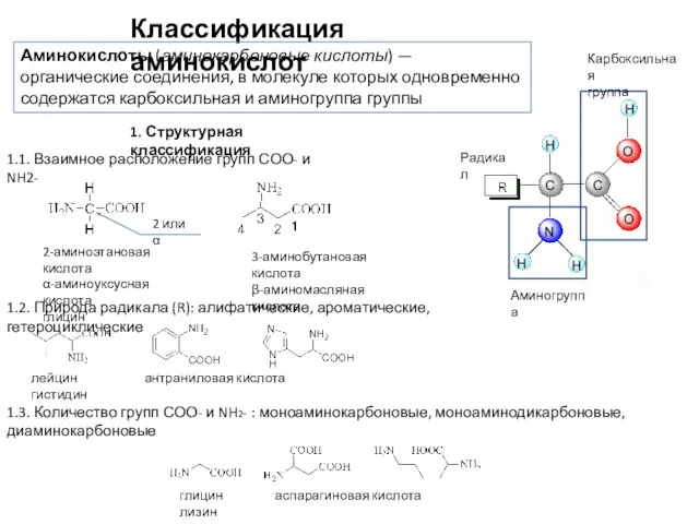 Классификация аминокислот Карбоксильная группа Радикал Аминогруппа Аминокислоты (аминокарбоновые кислоты) — органические соединения,