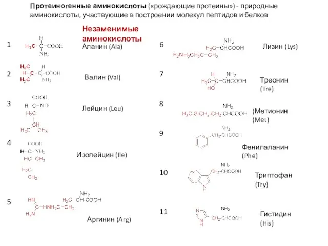 Протеиногенные аминокислоты («рождающие протеины») - природные аминокислоты, участвующие в построении молекул пептидов