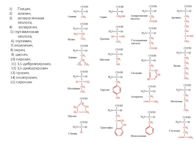 Глицин, аланин, аспарагиновая кислота, аспарагин, 5) глутаминовая кислота, 6) глутамин, 7) оксилизин,
