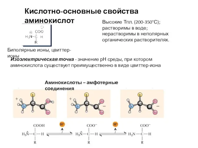 Кислотно-основные свойства аминокислот Биполярные ионы, цвиттер-ионы Высокие Тпл. (200-350°С); растворимы в воде;