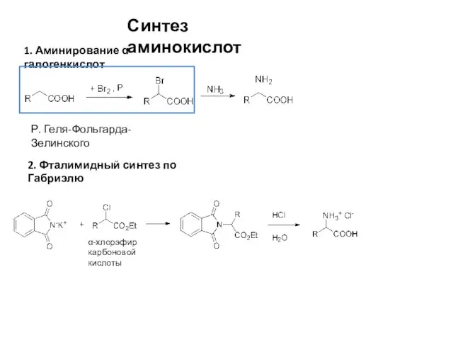 Синтез аминокислот 1. Аминирование α-галогенкислот Р. Геля-Фольгарда-Зелинского 2. Фталимидный синтез по Габриэлю α-хлорэфир карбоновой кислоты