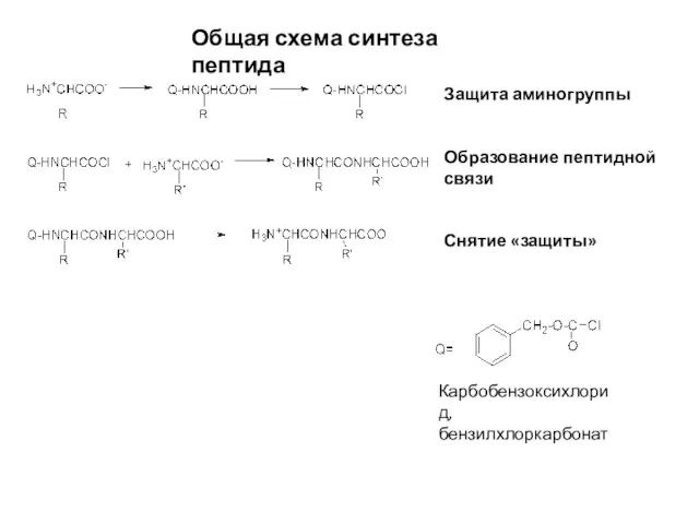 Общая схема синтеза пептида Защита аминогруппы Образование пептидной связи Снятие «защиты» Карбобензоксихлорид, бензилхлоркарбонат