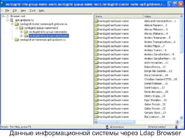 СПбГУ-Физический Факультет-Кафедра Вычислительной Физики-Gridzone-2008 Данные информационной системы через Ldap Browser