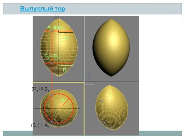 Выпуклый тор R R А2 А1 R В1 С2≡(D2) (C1) ≡ (D1) ≡ ≡(В2) i2