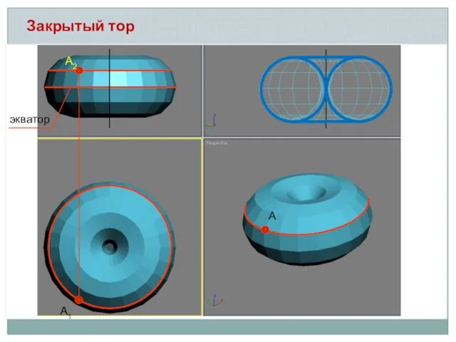 Закрытый тор А2 А1 А экватор