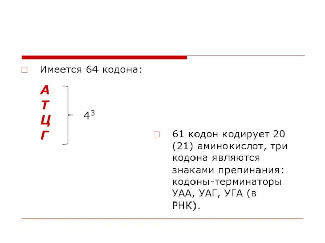 Имеется 64 кодона: 61 кодон кодирует 20 (21) аминокислот, три кодона являются