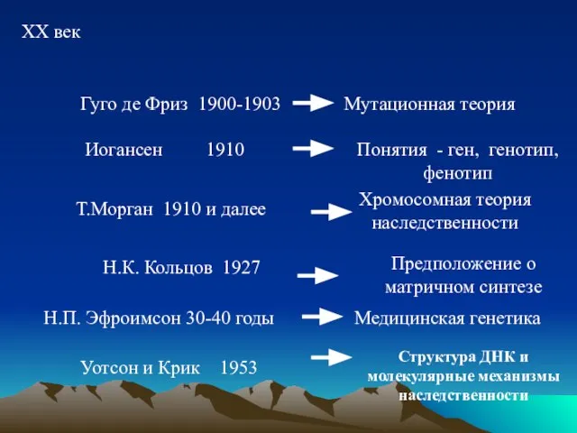 XX век Гуго де Фриз 1900-1903 Мутационная теория Иогансен 1910 Т.Морган 1910