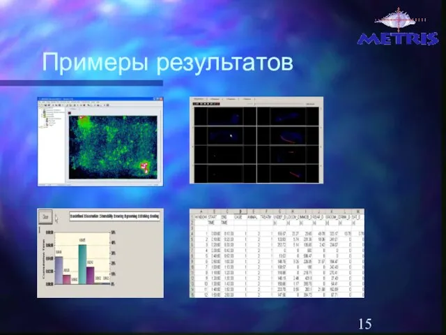 Примеры результатов