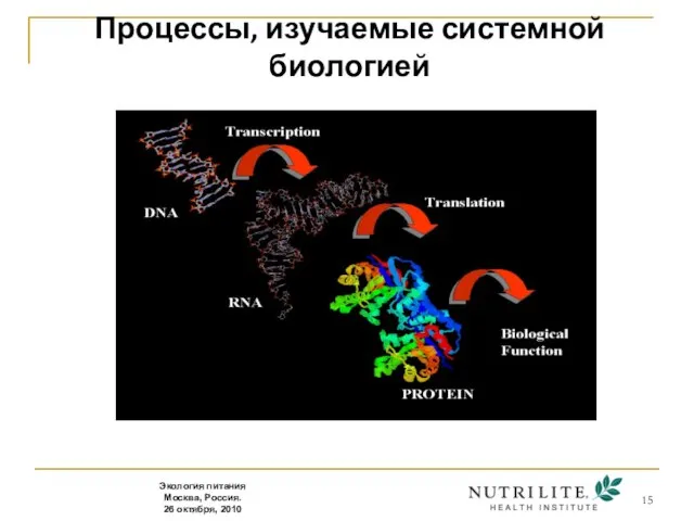 Процессы, изучаемые системной биологией