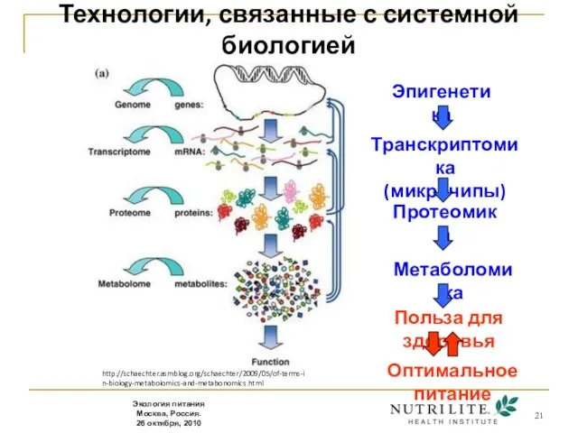 http://schaechter.asmblog.org/schaechter/2009/05/of-terms-in-biology-metabolomics-and-metabonomics.html Транскриптомика (микрочипы) Протеомика Метаболомика Эпигенетика Польза для здоровья Технологии, связанные с системной биологией Оптимальное питание