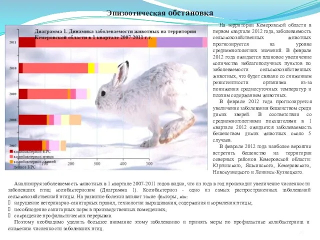 Эпизоотическая обстановка На территории Кемеровской области в первом квартале 2012 года, заболеваемость