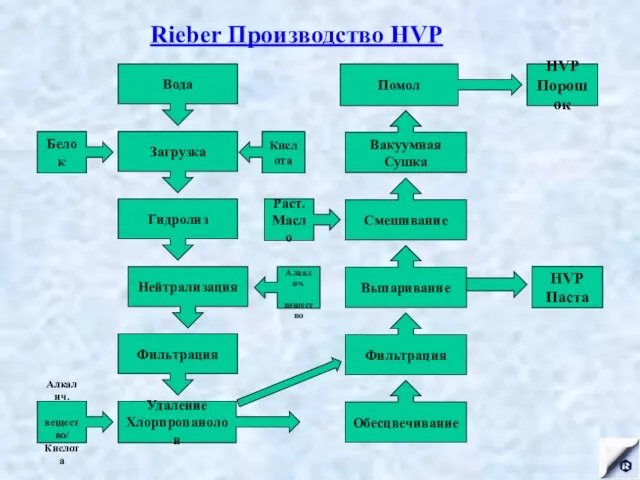 Вода Гидролиз Фильтрация Обесцвечивание Фильтрация Вакуумная Сушка Rieber Производство HVP