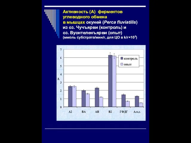 Активность (А) ферментов углеводного обмена в мышцах окуней (Perca fluviatilis) из оз.
