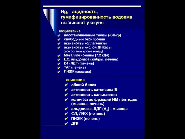 Hg, ацидность, гумифицированность водоема вызывают у окуня возрастание восстановленные тиолы (-SH-гр) свободный