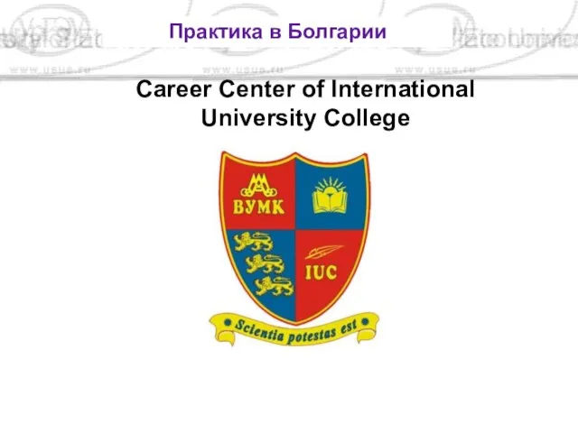 Career Center of International University College Практика в Болгарии