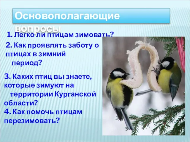 1. Легко ли птицам зимовать? Основополагающие вопросы 2. Как проявлять заботу о