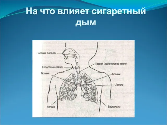 На что влияет сигаретный дым