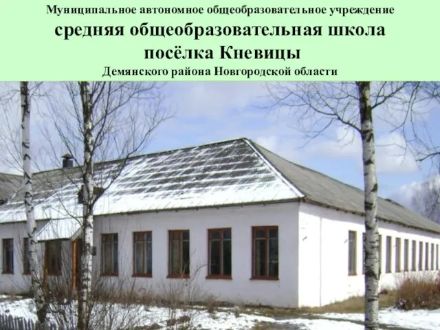 Муниципальное автономное общеобразовательное учреждение средняя общеобразовательная школа посёлка Кневицы Демянского района Новгородской области