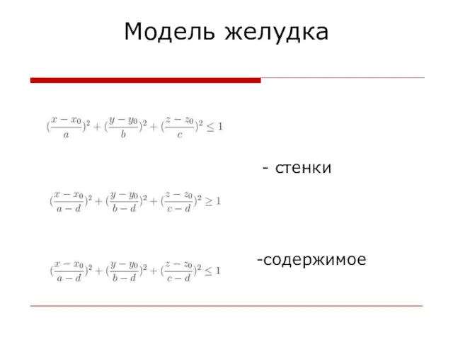 Модель желудка - стенки -содержимое