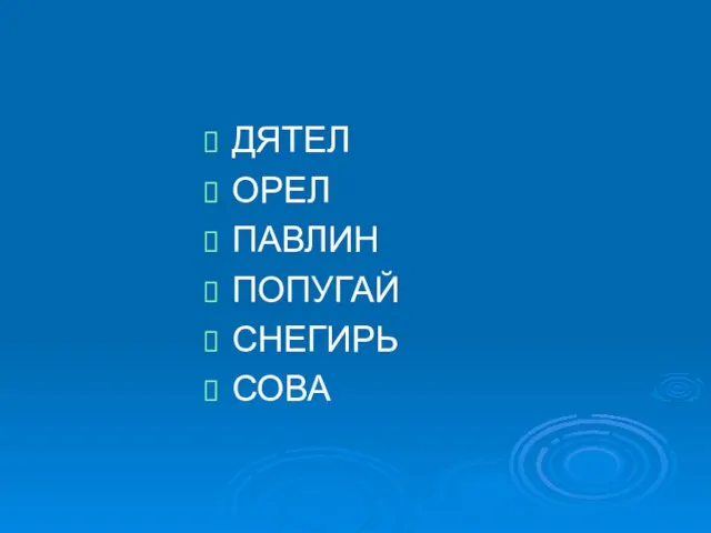 ДЯТЕЛ ОРЕЛ ПАВЛИН ПОПУГАЙ СНЕГИРЬ СОВА