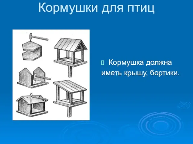 Кормушки для птиц Кормушка должна иметь крышу, бортики.