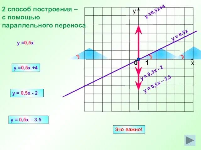 y = 0,5x y =0,5x+4 y = 0,5x - 2 y =0,5x