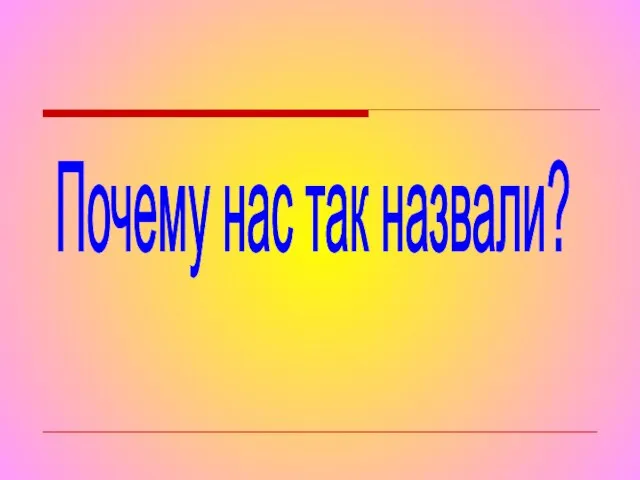 Почему нас так назвали?