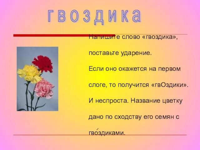 Напишите слово «гвоздика», поставьте ударение. Если оно окажется на первом слоге, то