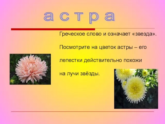 а с т р а Греческое слово и означает «звезда». Посмотрите на