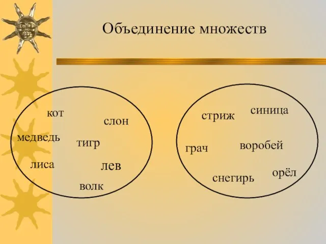 Объединение множеств кот слон тигр лиса волк лев медведь стриж синица грач воробей орёл снегирь