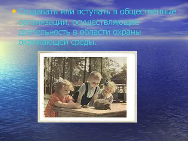 Создавать или вступать в общественные организации, осуществляющие деятельность в области охраны окружающей среды.