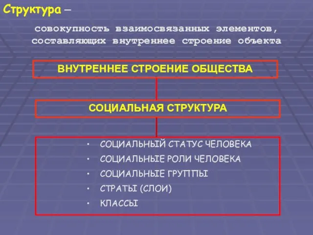 ВНУТРЕННЕЕ СТРОЕНИЕ ОБЩЕСТВА СОЦИАЛЬНАЯ СТРУКТУРА СОЦИАЛЬНЫЙ СТАТУС ЧЕЛОВЕКА СОЦИАЛЬНЫЕ РОЛИ ЧЕЛОВЕКА СОЦИАЛЬНЫЕ