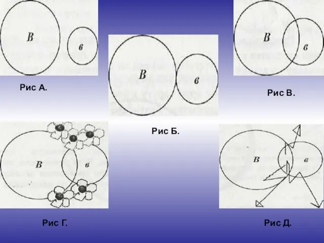 Рис А. Рис Б. Рис В. Рис Г. Рис Д.