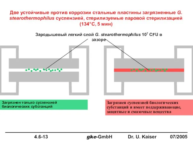 Две устойчивые против коррозии стальные пластины загрязненные G. stearothermophilus суспензией, стерилизуемые паровой стерилизацией (134°C, 5 мин)