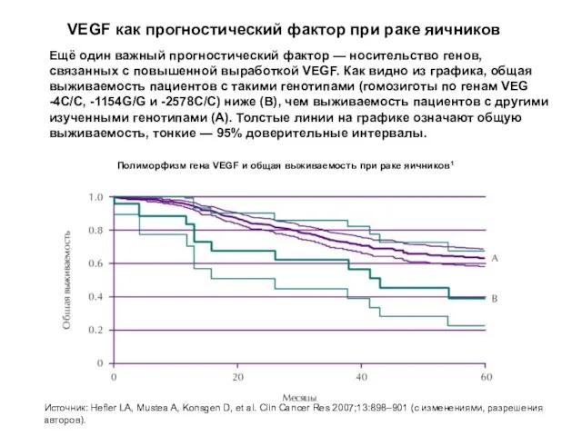 VEGF как прогностический фактор при раке яичников Ещё один важный прогностический фактор