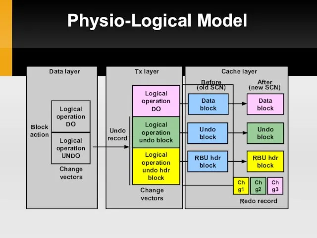 Physio-Logical Model Tx layer Complex actions Sequence of block actions Undo record