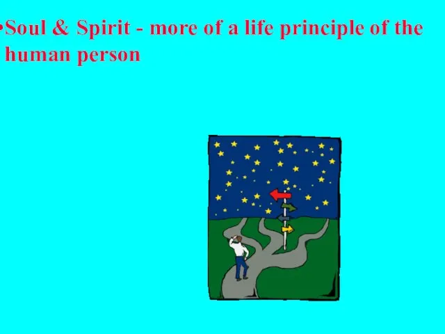 Soul & Spirit - more of a life principle of the human person