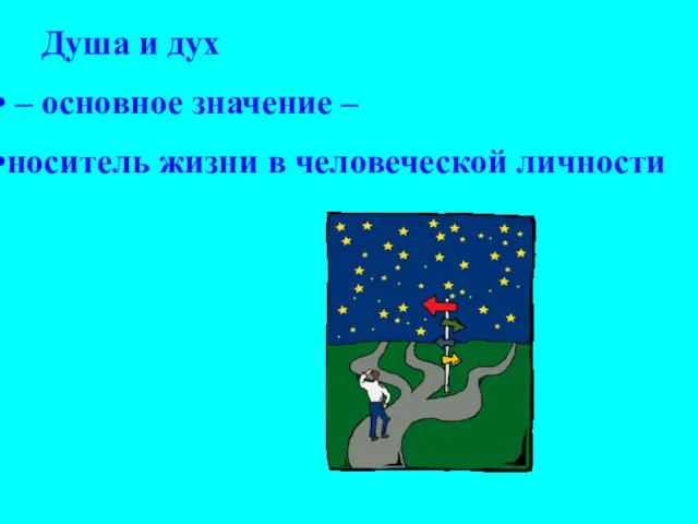 Душа и дух – основное значение – носитель жизни в человеческой личности