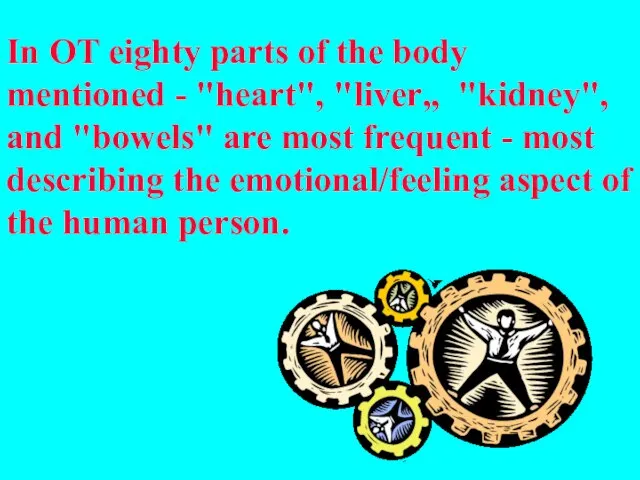 In OT eighty parts of the body mentioned - "heart", "liver„ "kidney",