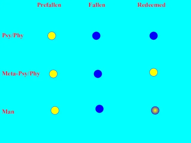 Prefallen Fallen Redeemed Psy/Phy Meta-Psy/Phy Man