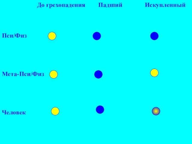 До грехопадения Падший Искупленный Пси/Физ Мета-Пси/Физ Человек