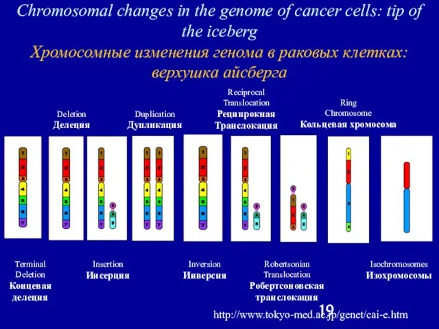 Chromosomal changes in the genome of cancer cells: tip of the iceberg