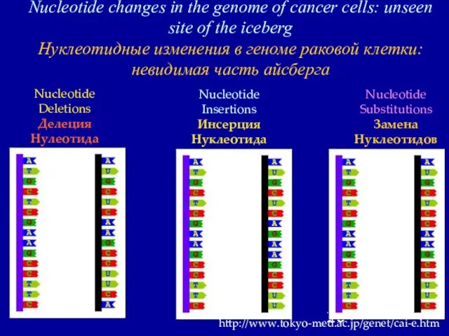 Nucleotide changes in the genome of cancer cells: unseen site of the