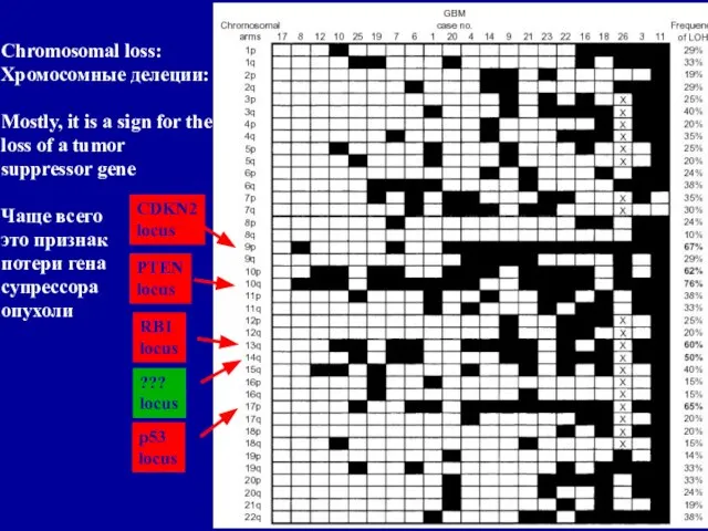 p53 locus Chromosomal loss: Хромосомные делеции: Mostly, it is a sign for