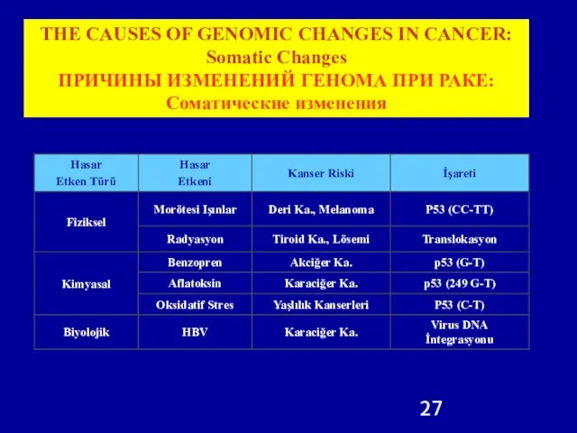 THE CAUSES OF GENOMIC CHANGES IN CANCER: Somatic Changes ПРИЧИНЫ ИЗМЕНЕНИЙ ГЕНОМА ПРИ РАКЕ: Соматические изменения