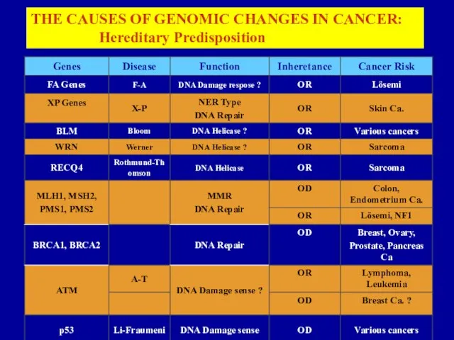 THE CAUSES OF GENOMIC CHANGES IN CANCER: Hereditary Predisposition